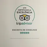 Coselhas